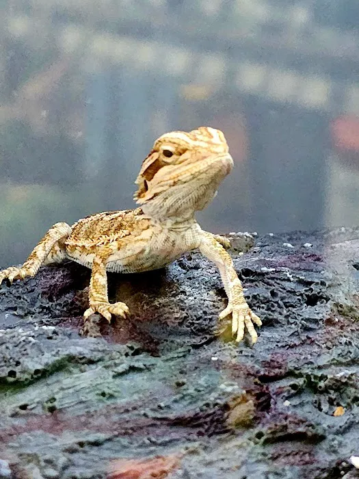 Petco Picture 7