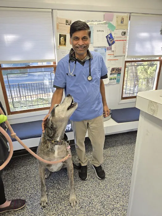 West Babylon Animal Hospital Picture 8