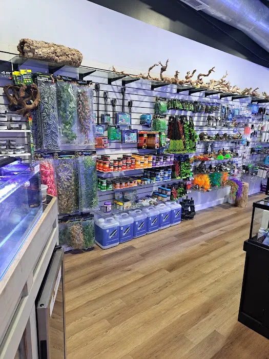 Emerald Bay Fish & Reptile Picture 7