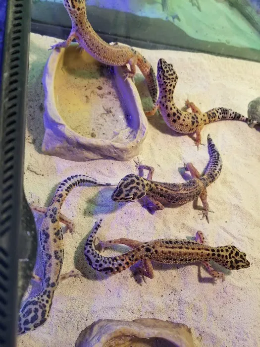 Emerald Bay Fish & Reptile Picture 9