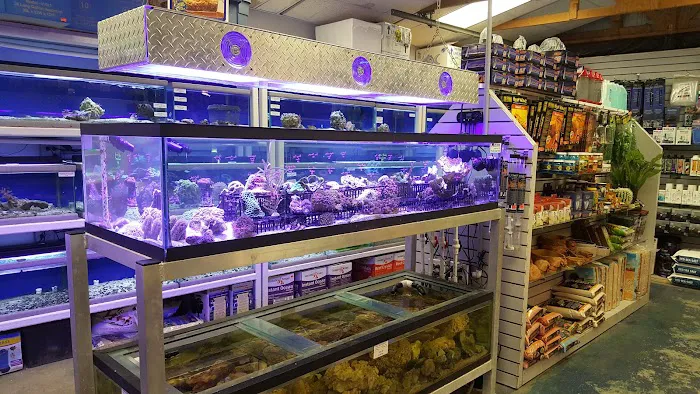 Emerald Bay Fish & Reptile Picture 3