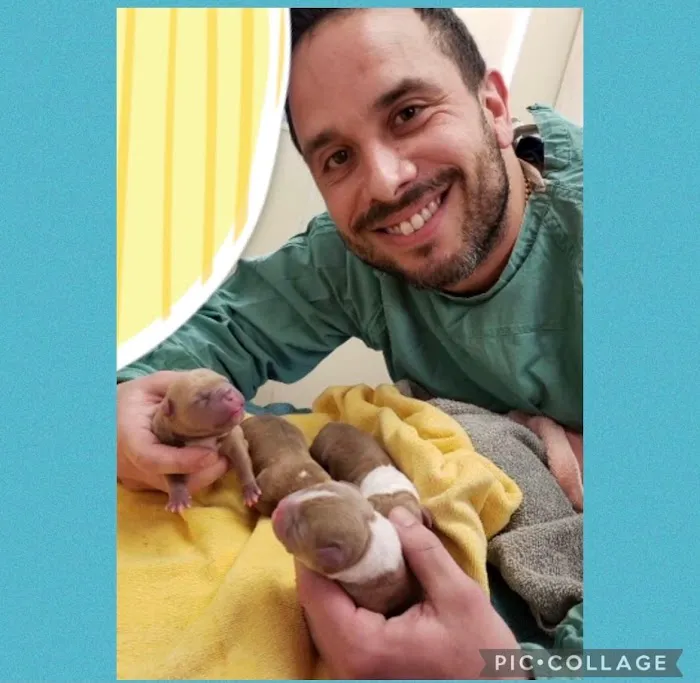 Suffolk Animal Hospital NY Picture 2