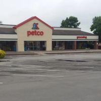 Petco ico