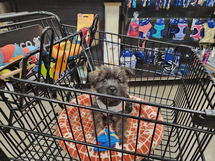 Petco Picture 5