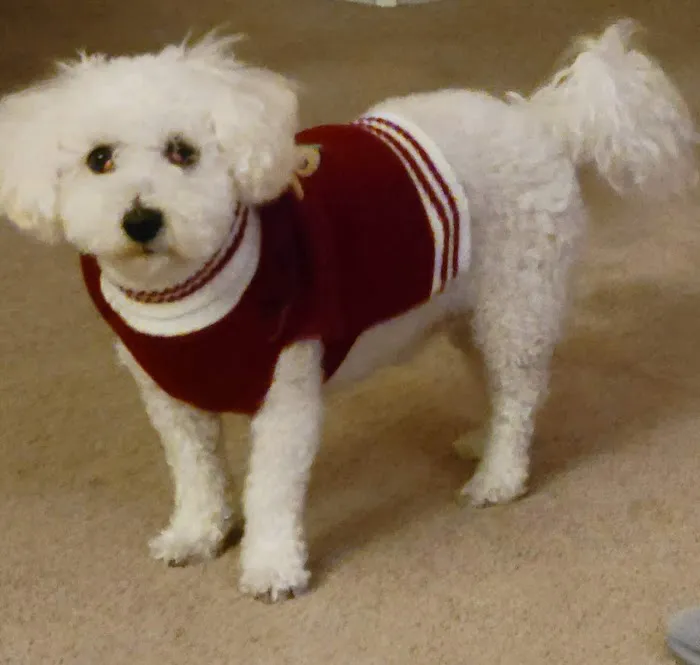 Petco Picture 9