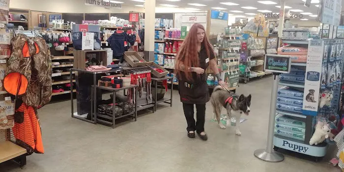 Petco Picture 10