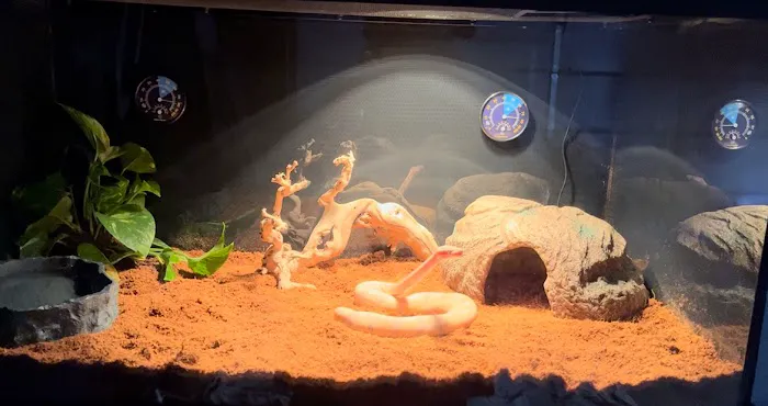 10 Gallon Fish Tanks Picture 2