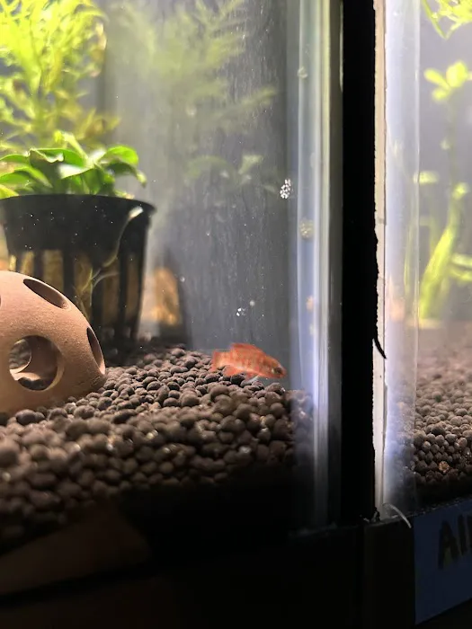10 Gallon Fish Tanks Picture 8