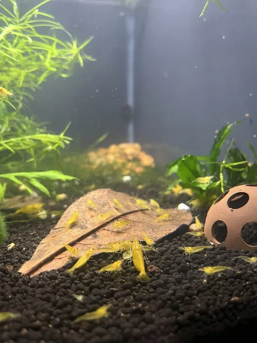10 Gallon Fish Tanks Picture 10