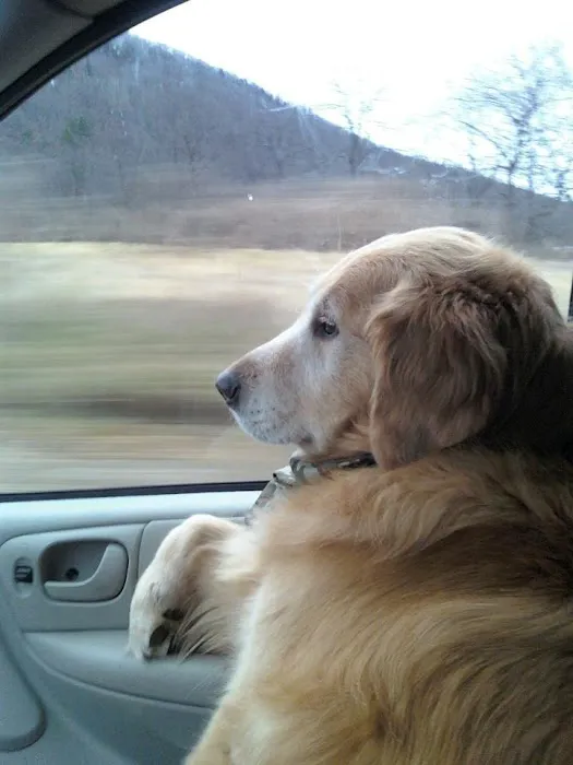 Steuben Veterinary Clinic Picture 7