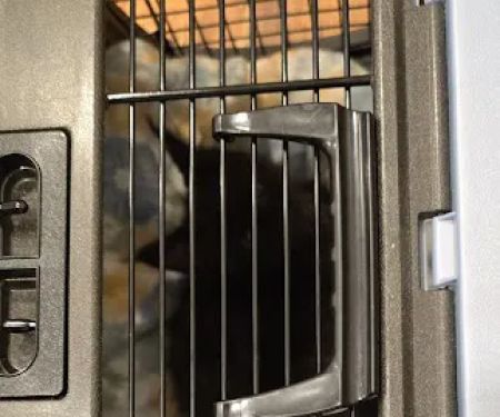Pleasant Valley Veterinary Care