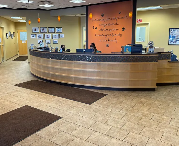 VCA Fairmount Animal Hospital Picture 10