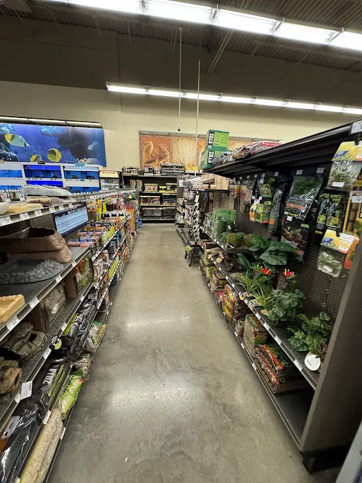 Petco Picture 2