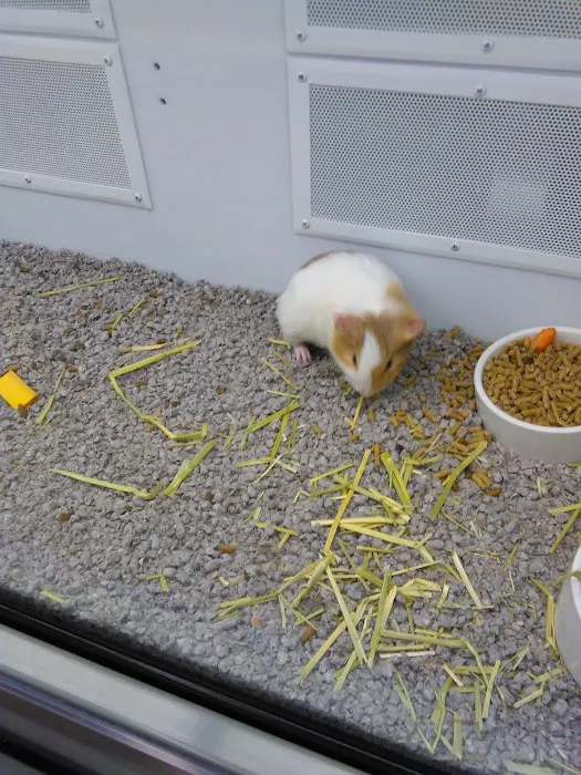 Petco Picture 9