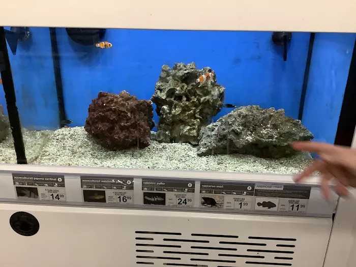 Petco Picture 4