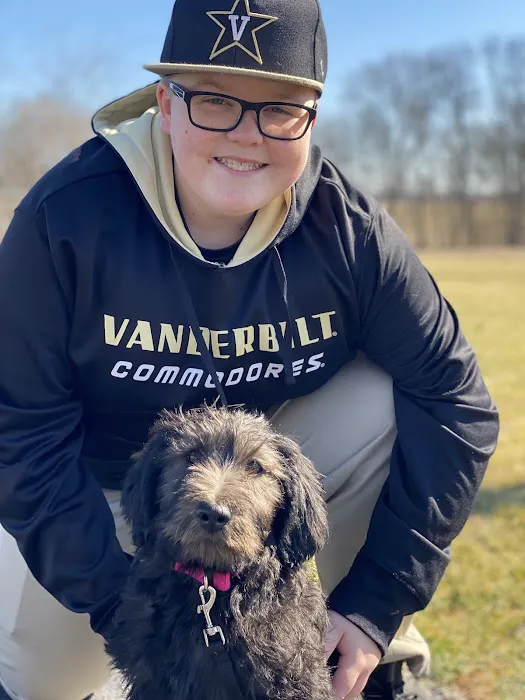 Labradoodles and Labs Picture 4