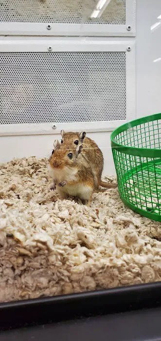 Petco Picture 10