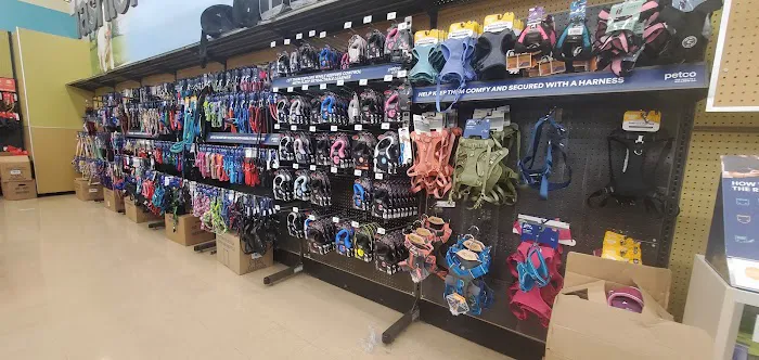 Petco Picture 4