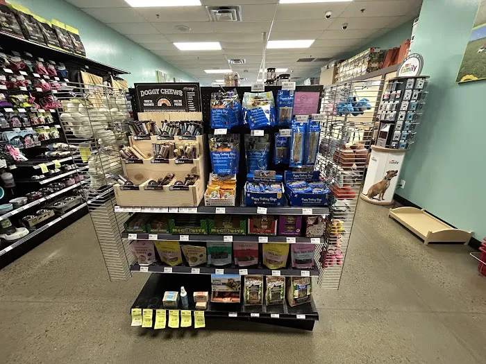 Petland Murfreesboro Picture 8
