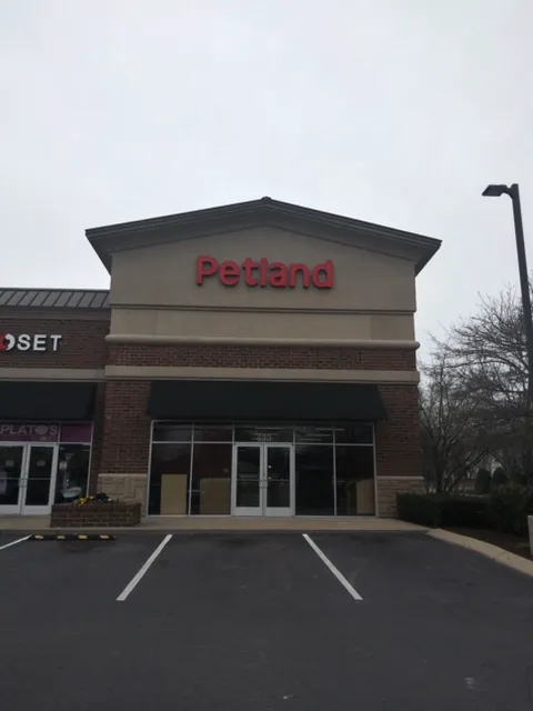 Petland Murfreesboro Picture 1