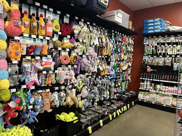 Petland Murfreesboro Picture 7