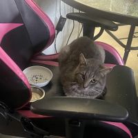 Finger Lakes Mobile Veterinary Services ico