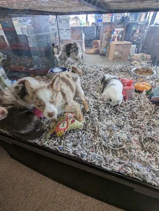 Animal City Pet Center Picture 10