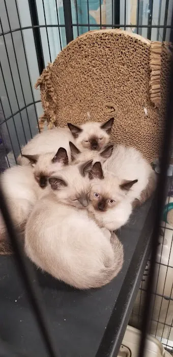 Animal City Pet Center Picture 7