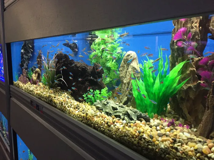 Animal City Pet Center Picture 1
