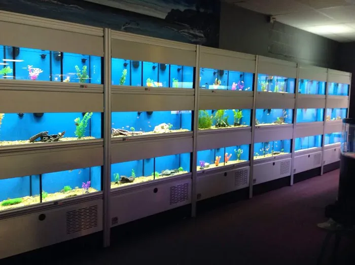 Animal City Pet Center Picture 4