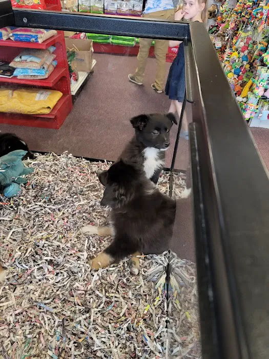 Animal City Pet Center Picture 3