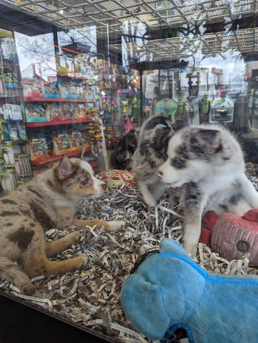 Animal City Pet Center Picture 6