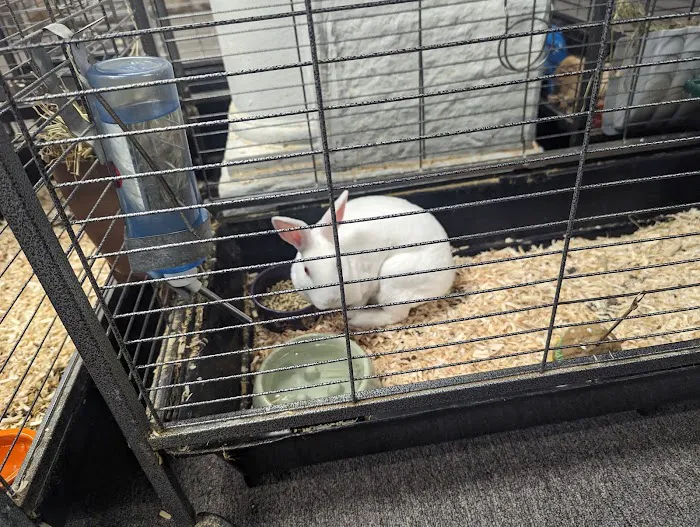 Animal City Pet Center Picture 9