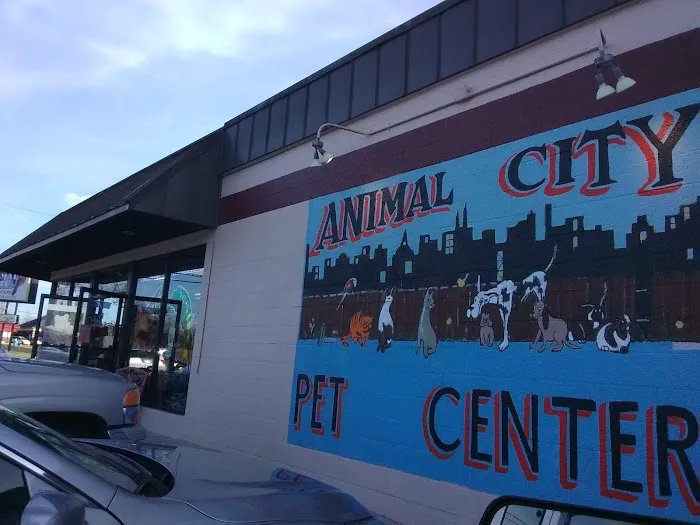 Animal City Pet Center Picture 2