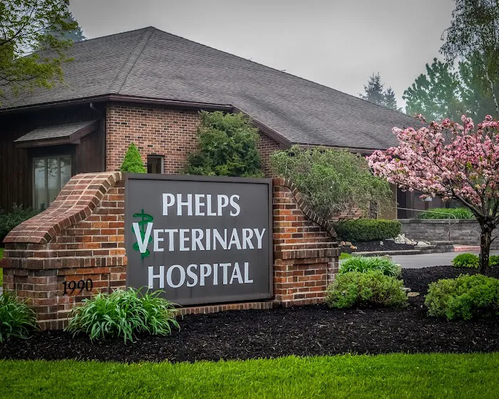 Phelps Veterinary Hospital Picture 8