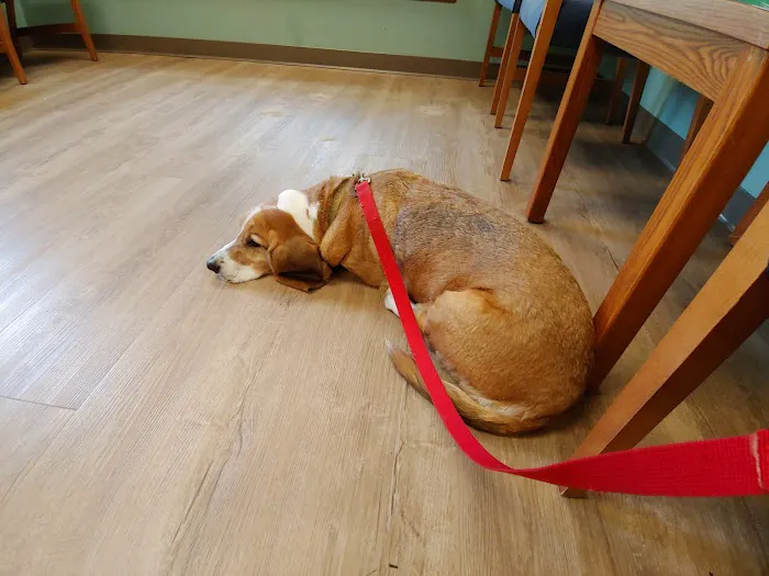 Phelps Veterinary Hospital Picture 7