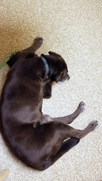 Phelps Veterinary Hospital Picture 5
