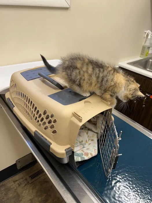 Canandaigua Veterinary Hospital Picture 5