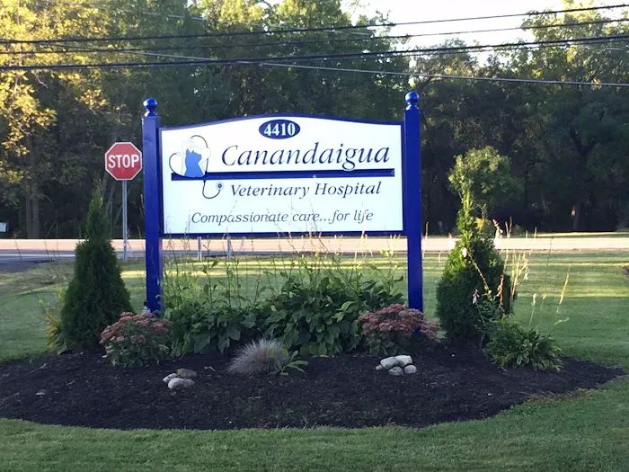 Canandaigua Veterinary Hospital Picture 3