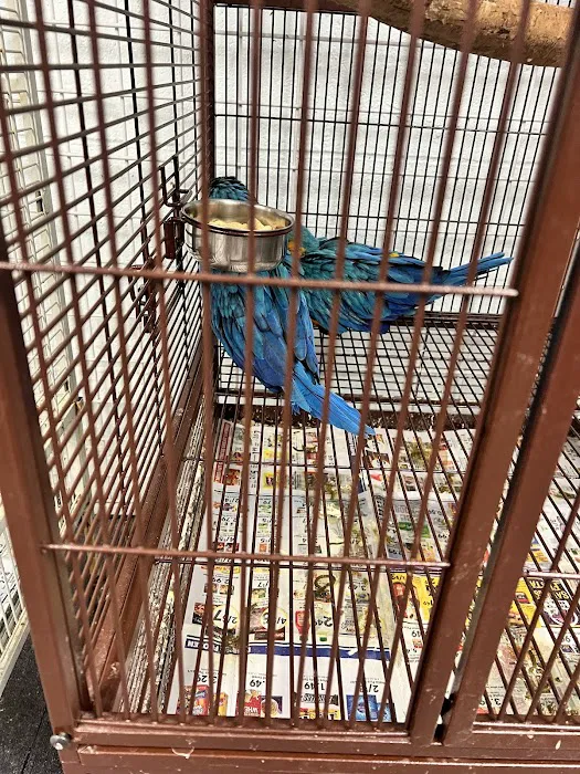 Adventure Birds of Bon Aqua Picture 2