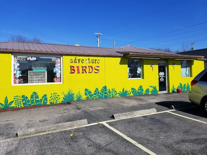 Adventure Birds of Bon Aqua Picture 4