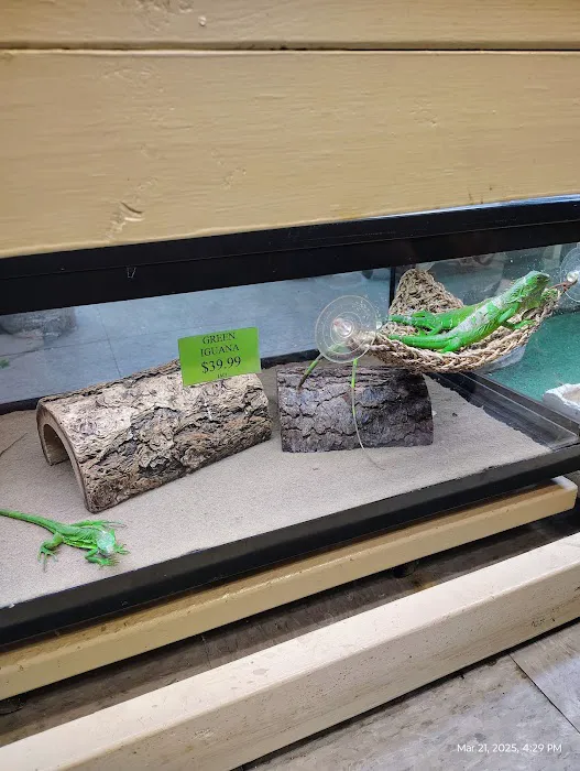Franklin Aquarium Pet Shop Picture 5