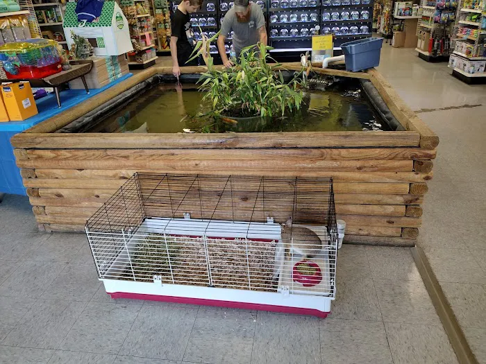 Franklin Aquarium Pet Shop Picture 10