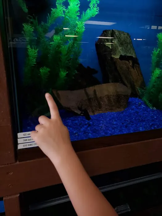 Franklin Aquarium Pet Shop Picture 3