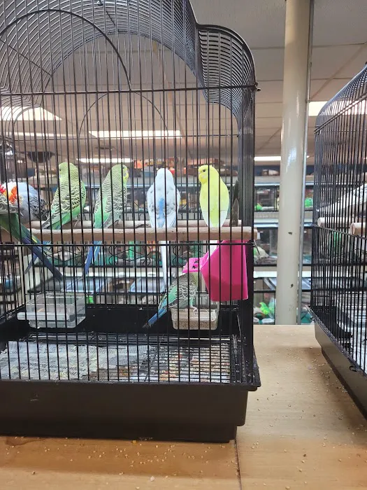 Franklin Aquarium Pet Shop Picture 2