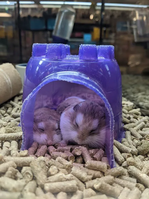 Franklin Aquarium Pet Shop Picture 6