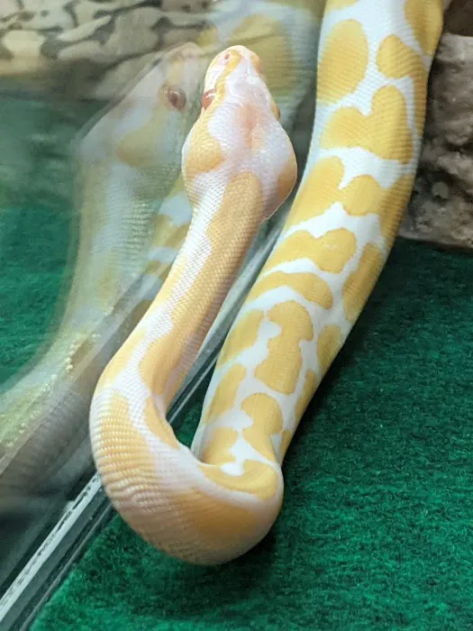 Franklin Aquarium Pet Shop Picture 7