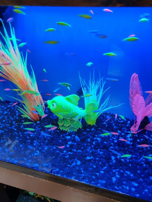 Franklin Aquarium Pet Shop Picture 9