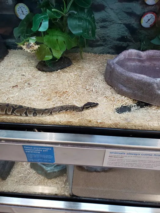 Petco Picture 9
