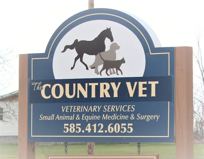 The Country Vet Picture 4